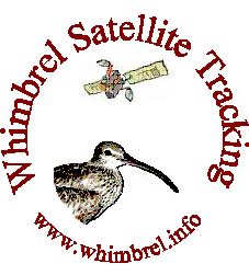 Whimbrel Satellite Tracking Web Site