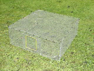 Folding Roost Cage - RC01