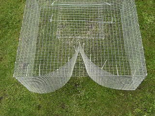 Wire Traps